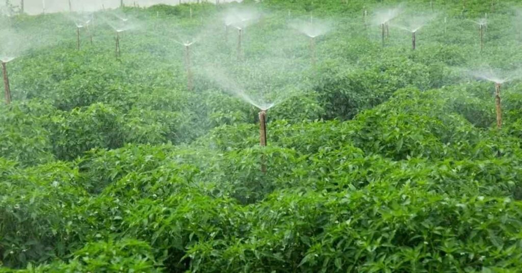 Pradhan Mantri Krishi Sinchayee Yojana- micro irrigation system